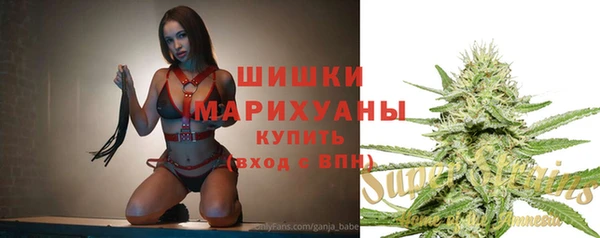 шишки Заволжье