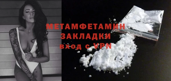 шишки Заволжье