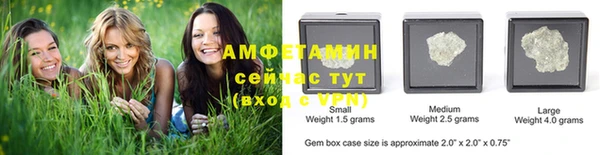 шишки Заволжье