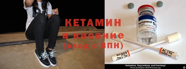 шишки Заволжье