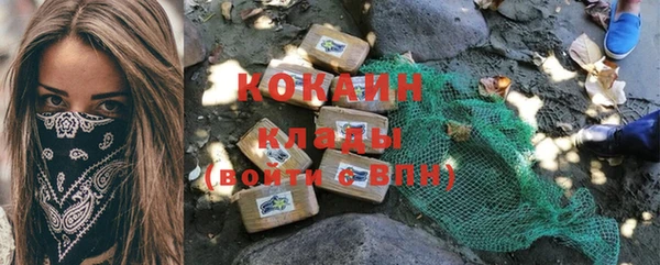 шишки Заволжье