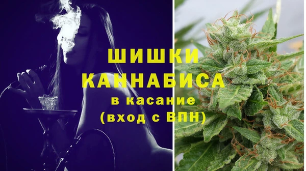 шишки Заволжье