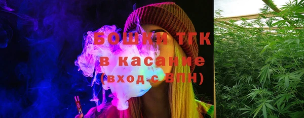 шишки Заволжье