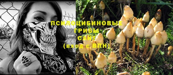 спайс Заводоуковск
