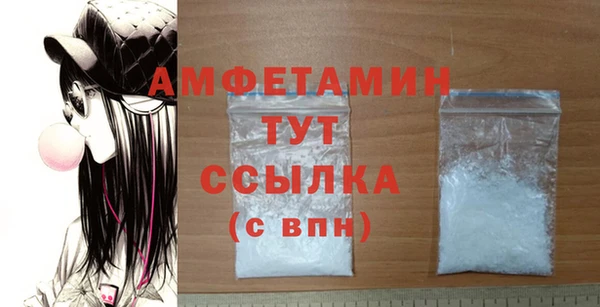 шишки Заволжье