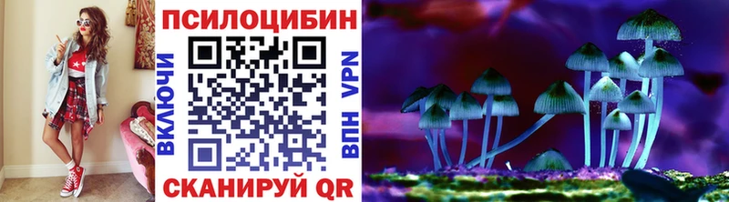 Галлюциногенные грибы GOLDEN TEACHER  Купить где  Сольвычегодск 